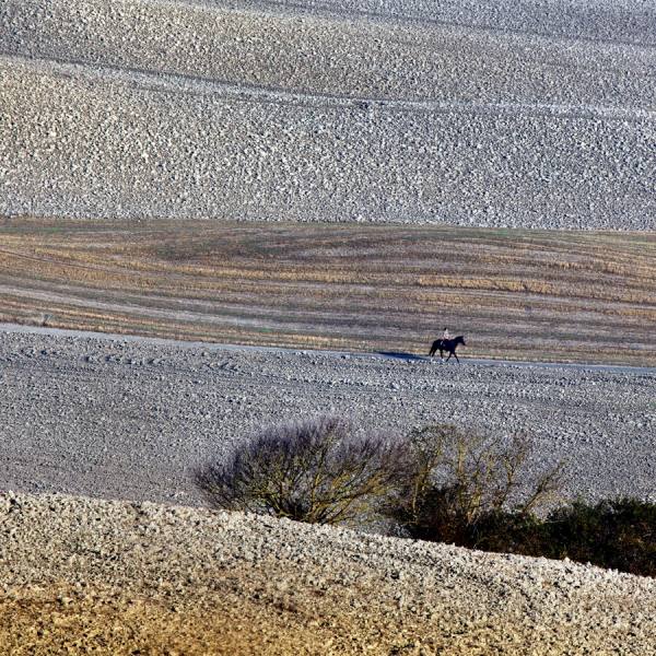 Photograph Della Latta Massimo  Il Cavallo on One Eyeland